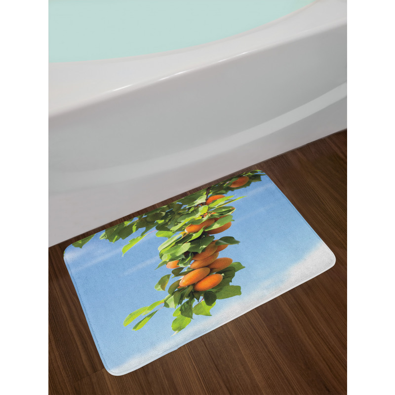 Succulent Apricots on Tree Bath Mat