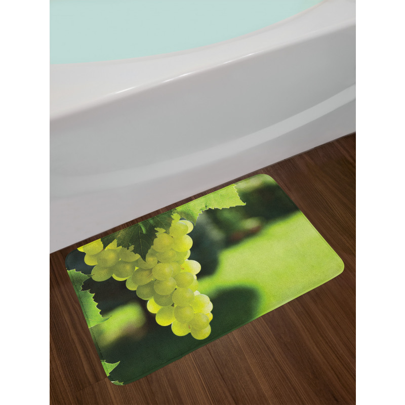 Bunch of Fruits Hanging Photo Bath Mat