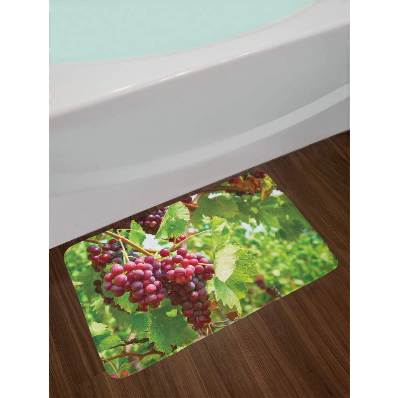 Bunch of Wine Fruits Foliage Bath Mat