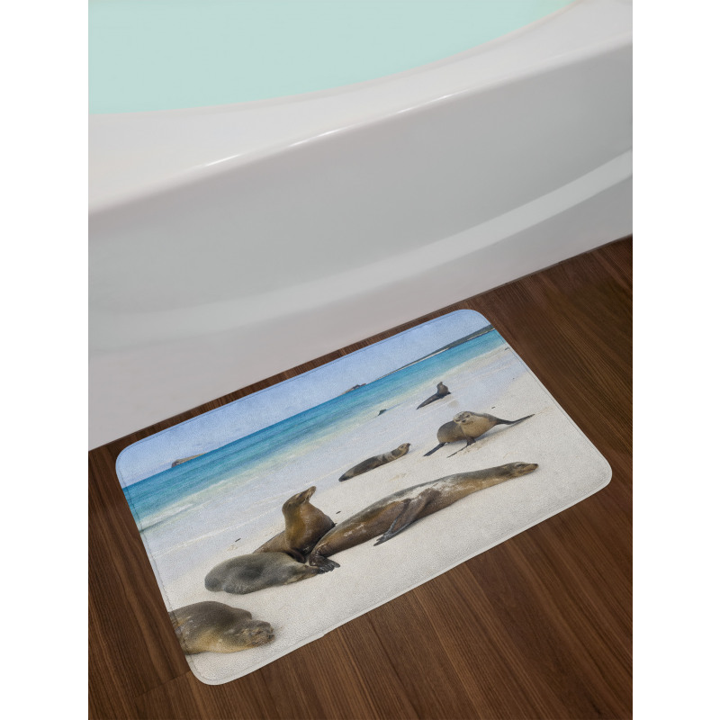 Galapagos Island Sea Lions Bath Mat