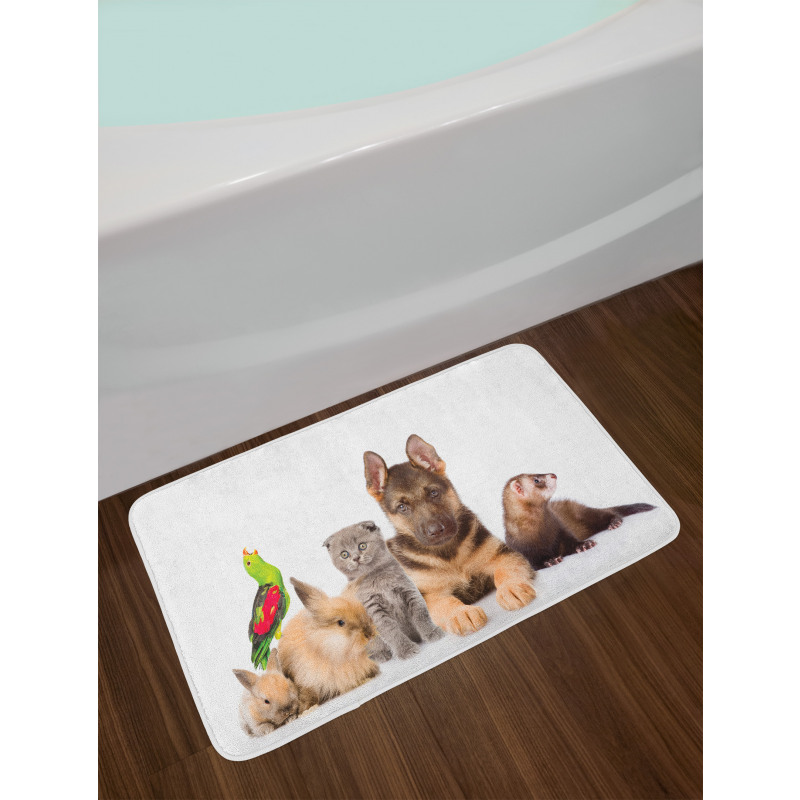 Bunnies Cat Dog and Ferret Bath Mat