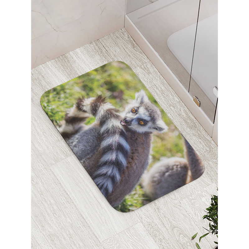 Ring Tailed Funny Expression Bath Mat