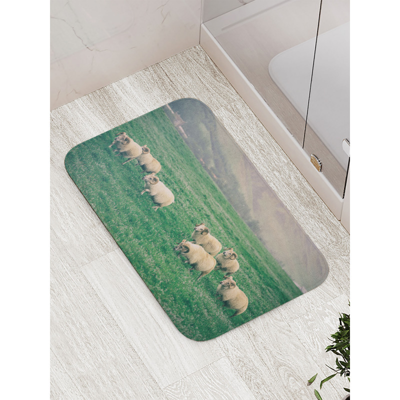 Sheep Grazing on Grass Bath Mat