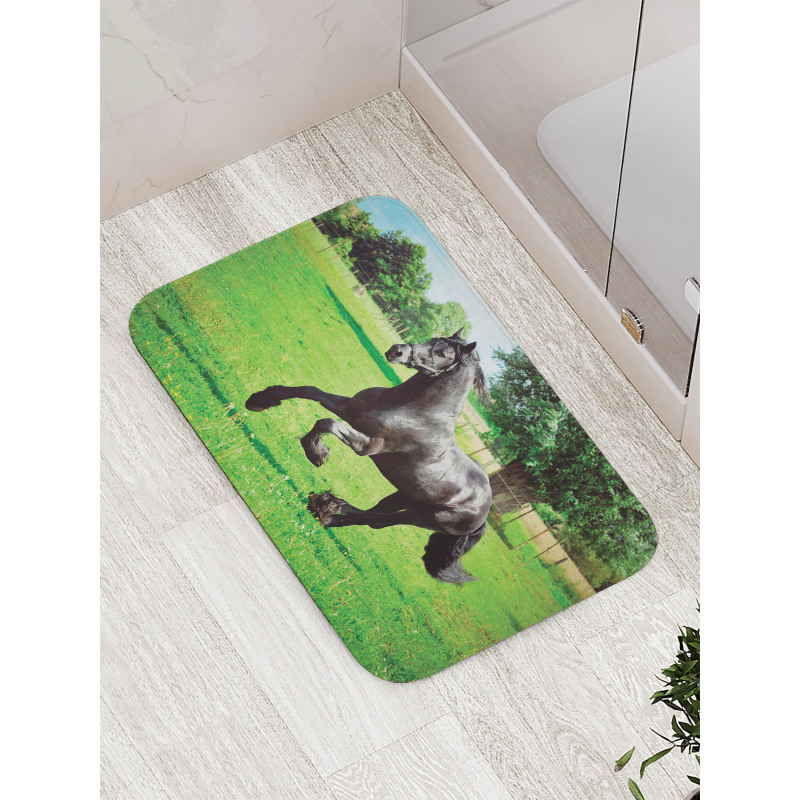 Friesian Horse Bath Mat