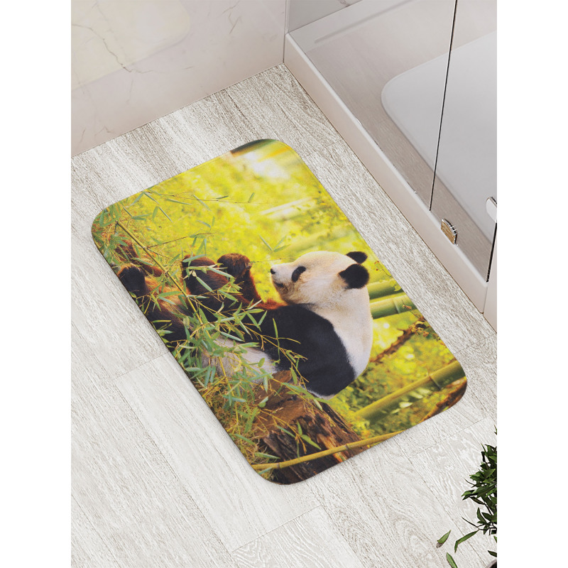 Panda Sitting in Forest Bath Mat