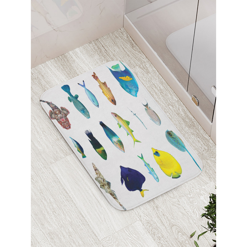 Marine Life Creatures Bath Mat