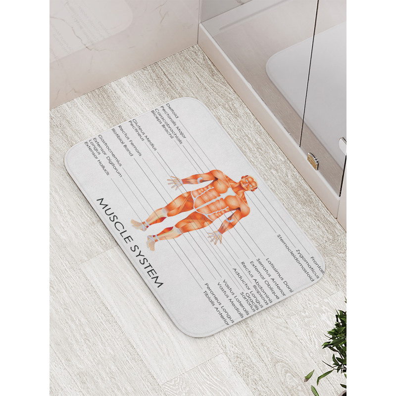 Biology Muscle System Bath Mat