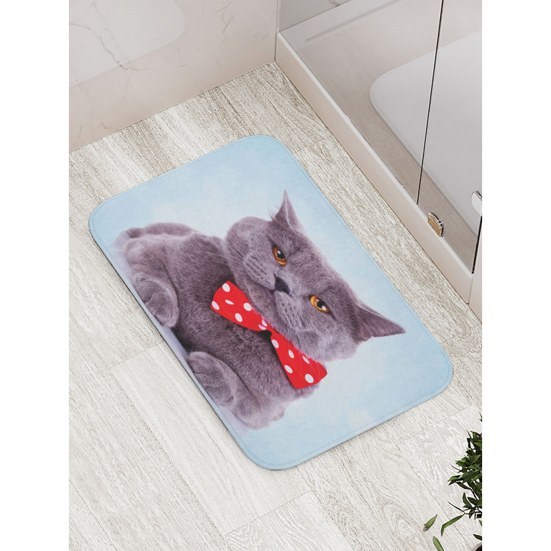 Grey Scottish Fold Theme Bath Mat