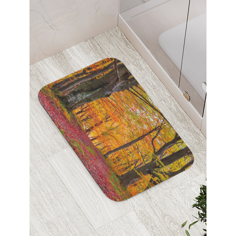 Shady Deciduous Trees Bath Mat