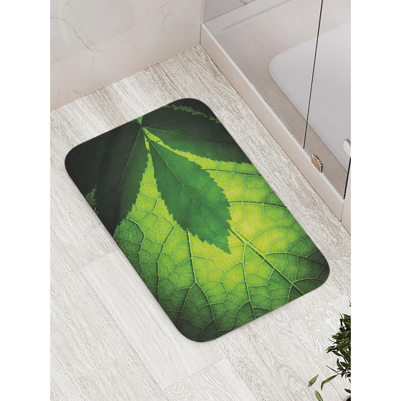 Brazilian Tree Leaf Eco Bath Mat