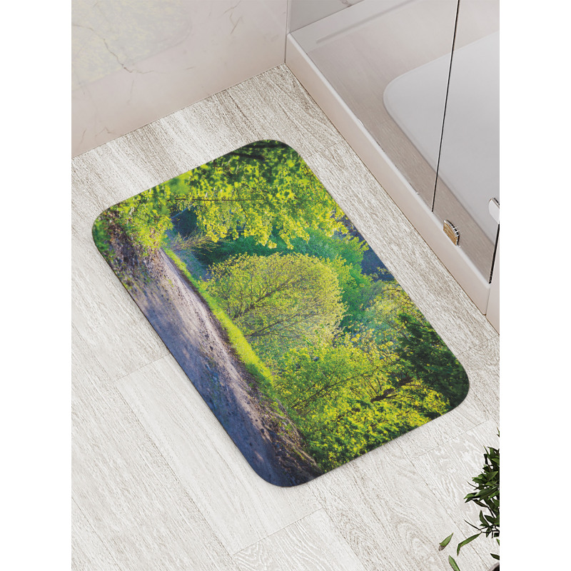 Path in Forest by Lake Bath Mat