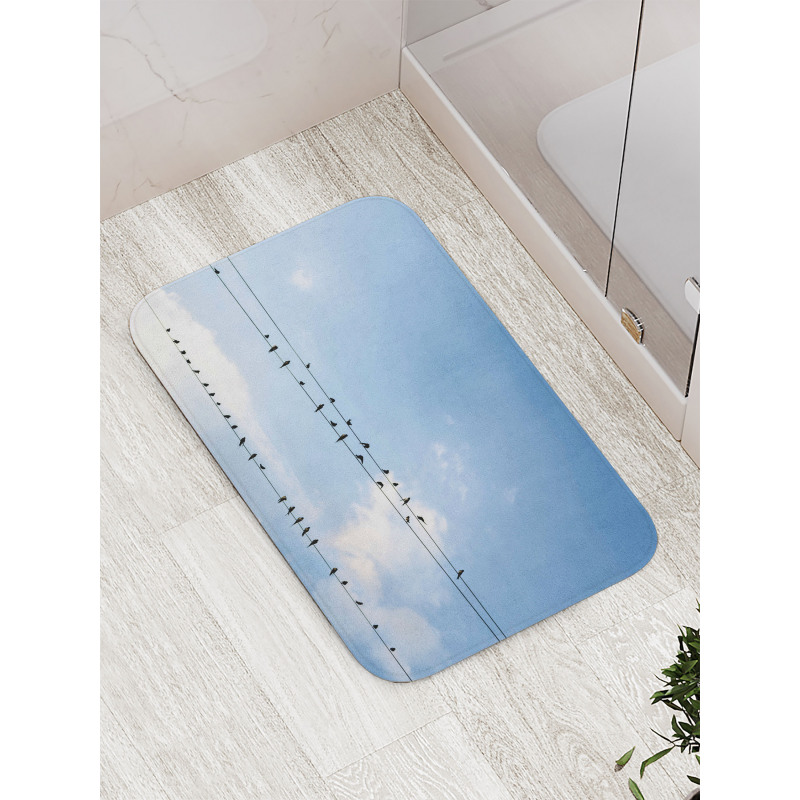 Swallows on Power Cord Bath Mat