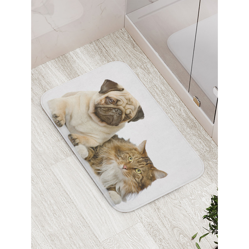 Pets Sitting Studio Shot Bath Mat