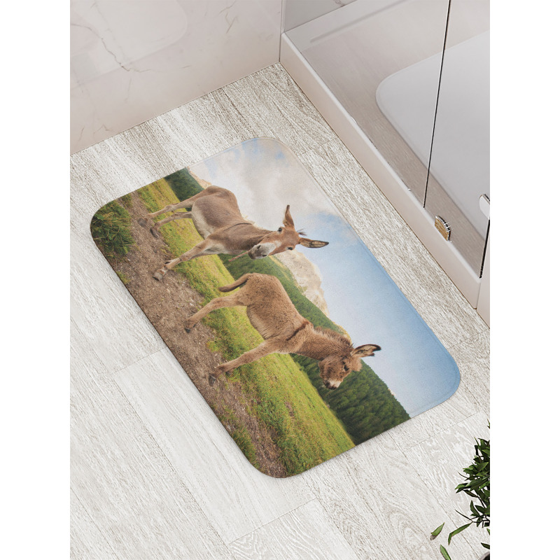 Dolomites Italy Countryside Bath Mat