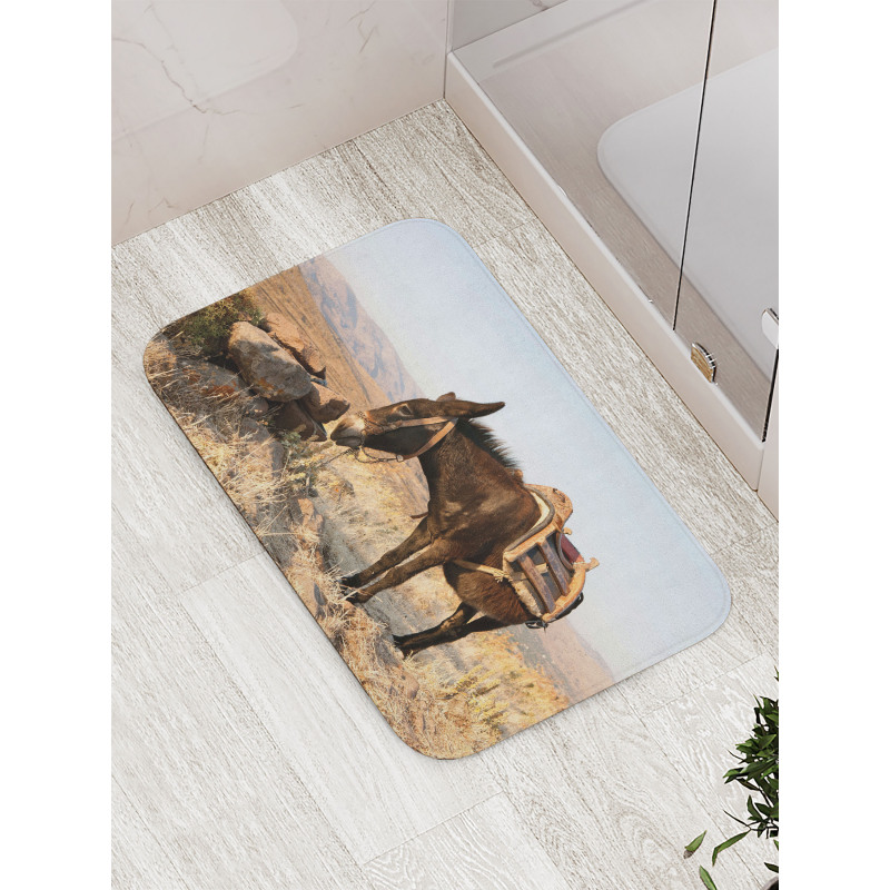 Greek Donkey in Mountains Bath Mat