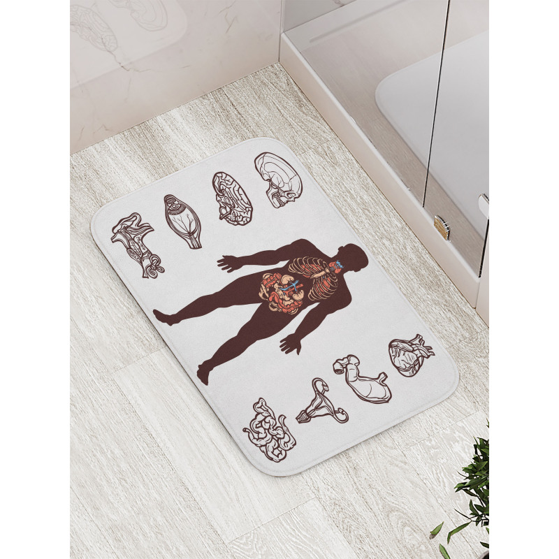 Organs Infographic Image Bath Mat