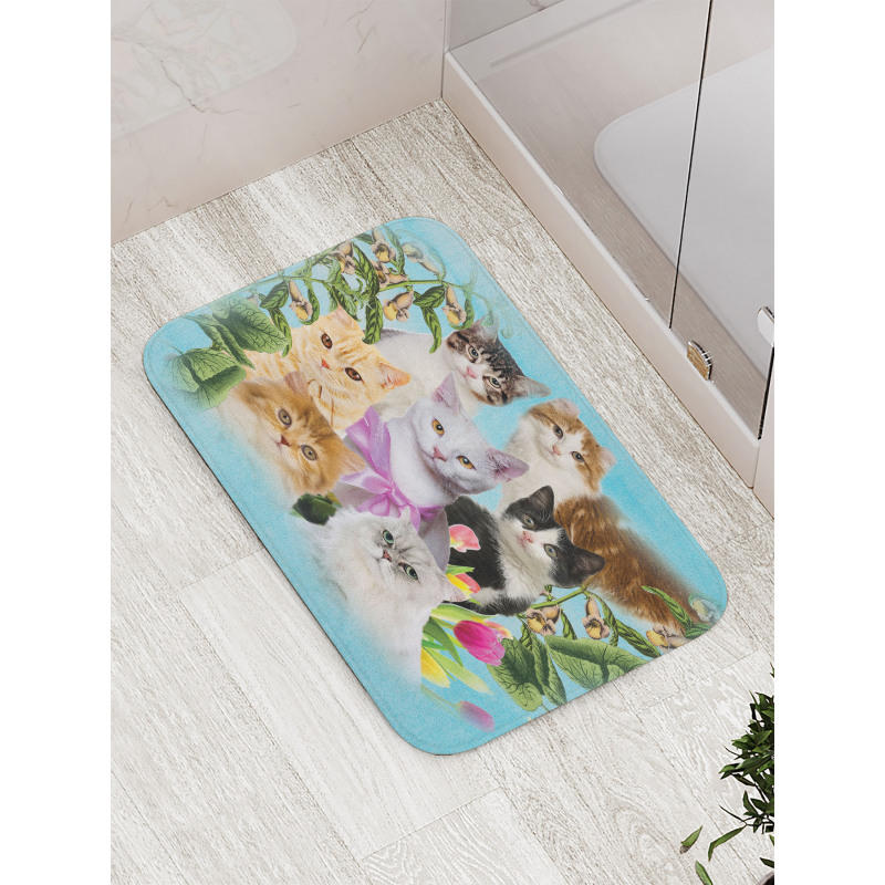 Cats Feline Domestic Bath Mat