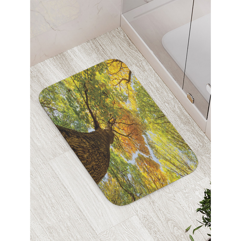 Autumn Tree of Nature Photo Bath Mat