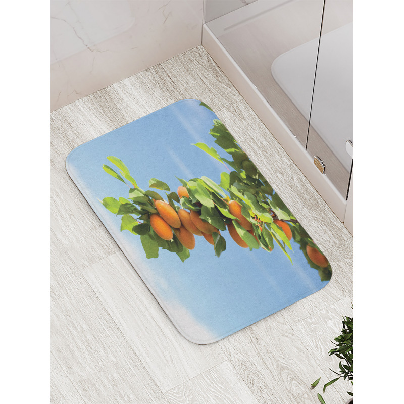 Succulent Apricots on Tree Bath Mat