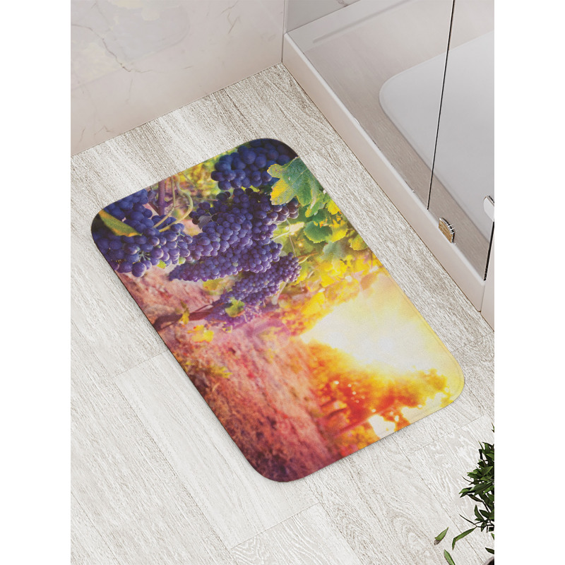 Grape in Countryside Vineyard Bath Mat