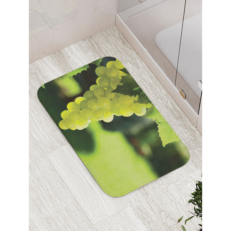 Bunch of Fruits Hanging Photo Bath Mat