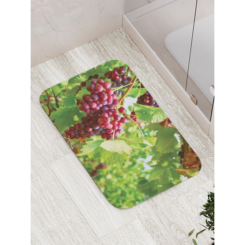 Bunch of Wine Fruits Foliage Bath Mat