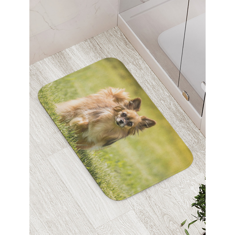 Long Haired Small Dog Bath Mat