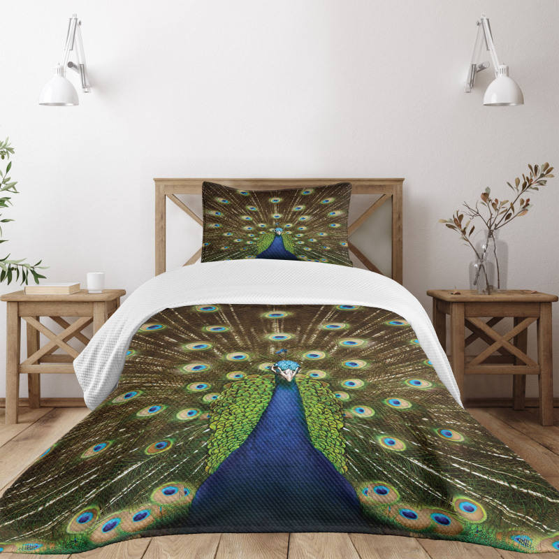 Peacock with Feathers Bedspread Set