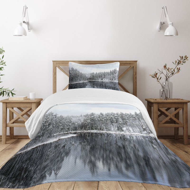 Trees in Cold Day Lake Bedspread Set