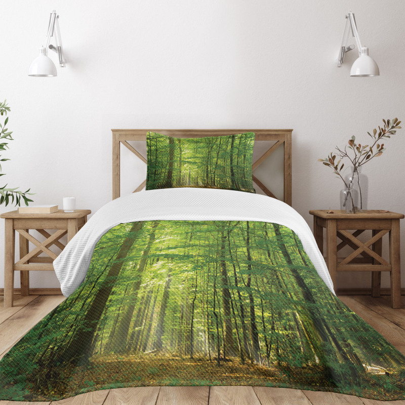 Foliage Forest Summer Bedspread Set