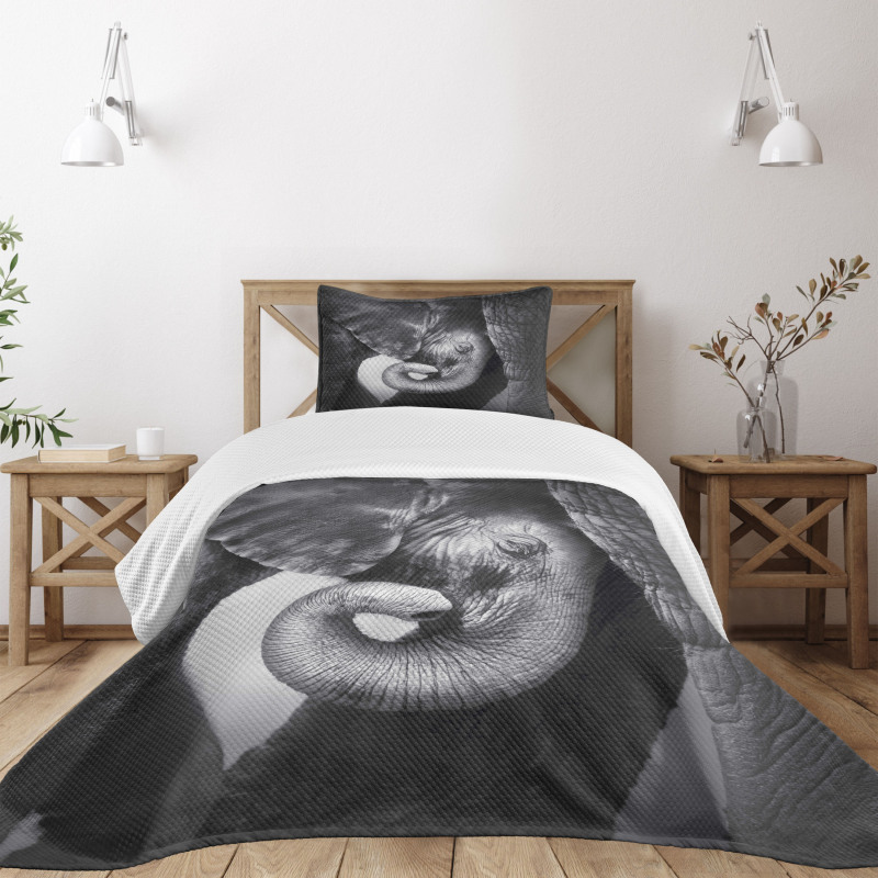 Elephant Mother and Baby Bedspread Set