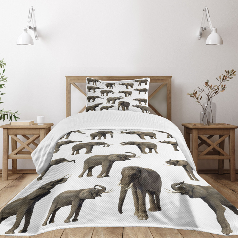 Elephants Tusk Ear Bedspread Set