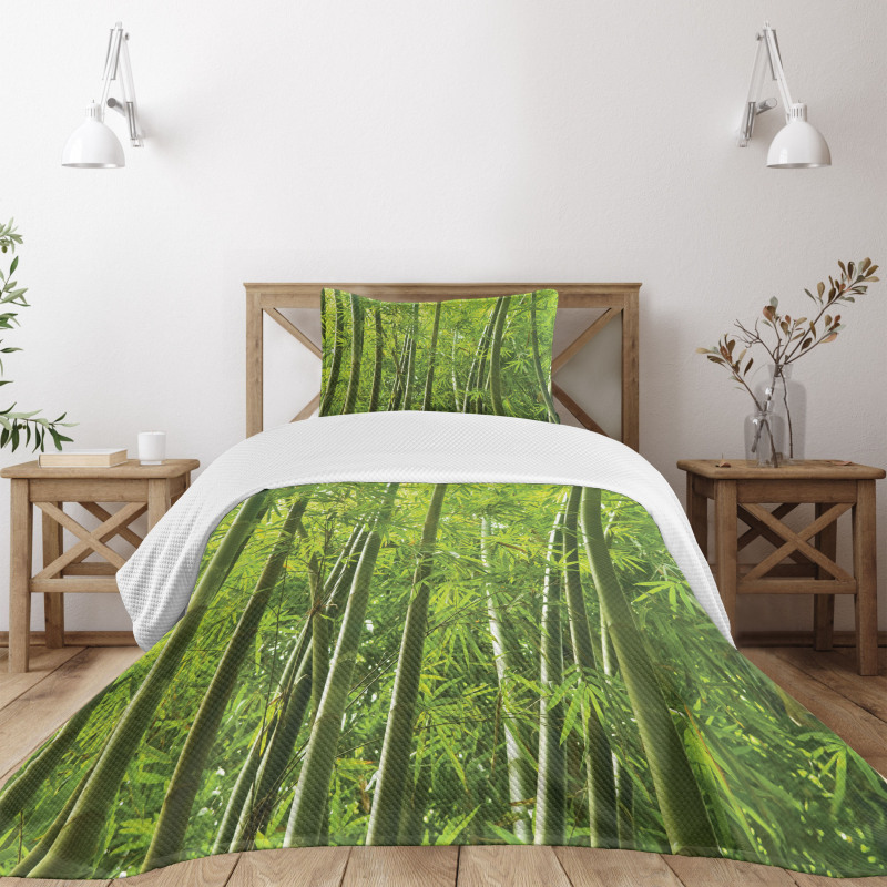 Exotic Tropical Bamboo Bedspread Set