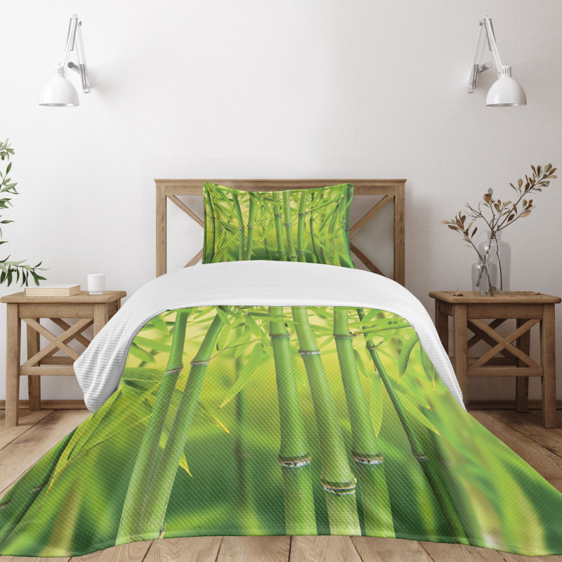 Bamboo Sprout Stem Forest Bedspread Set