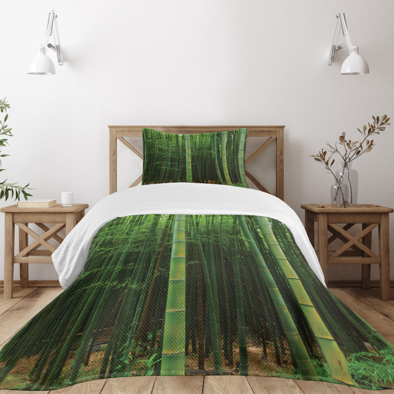 Exotic Bamboo Tree Forest Bedspread Set