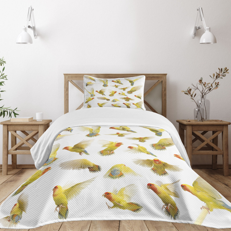 Peach Face Love Birds Bedspread Set