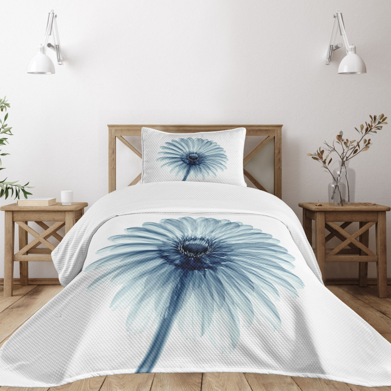 Daisies Flowers Plants Bedspread Set