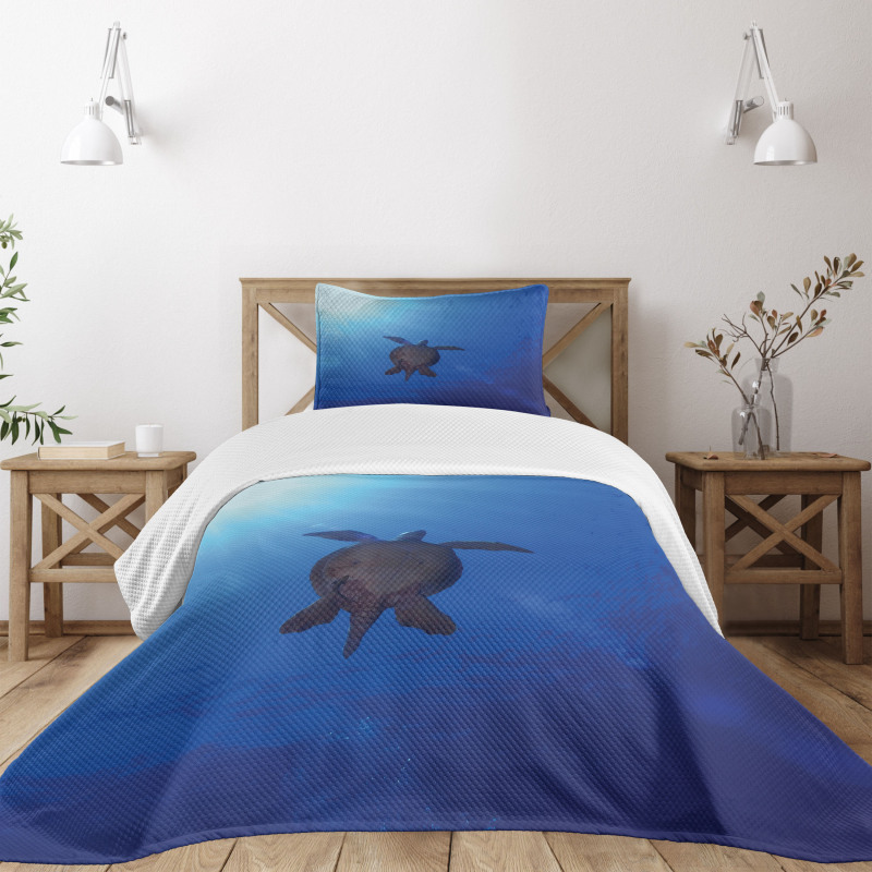 Sea Turtle in Deep Sea Bedspread Set