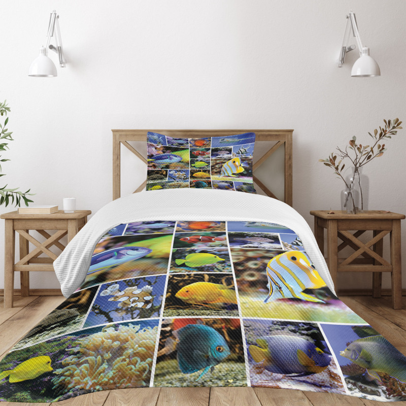 Collage of Underwater Bedspread Set