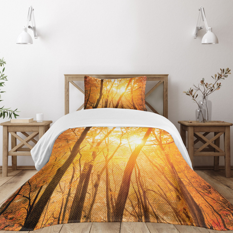 Autumn Forest Branches Bedspread Set