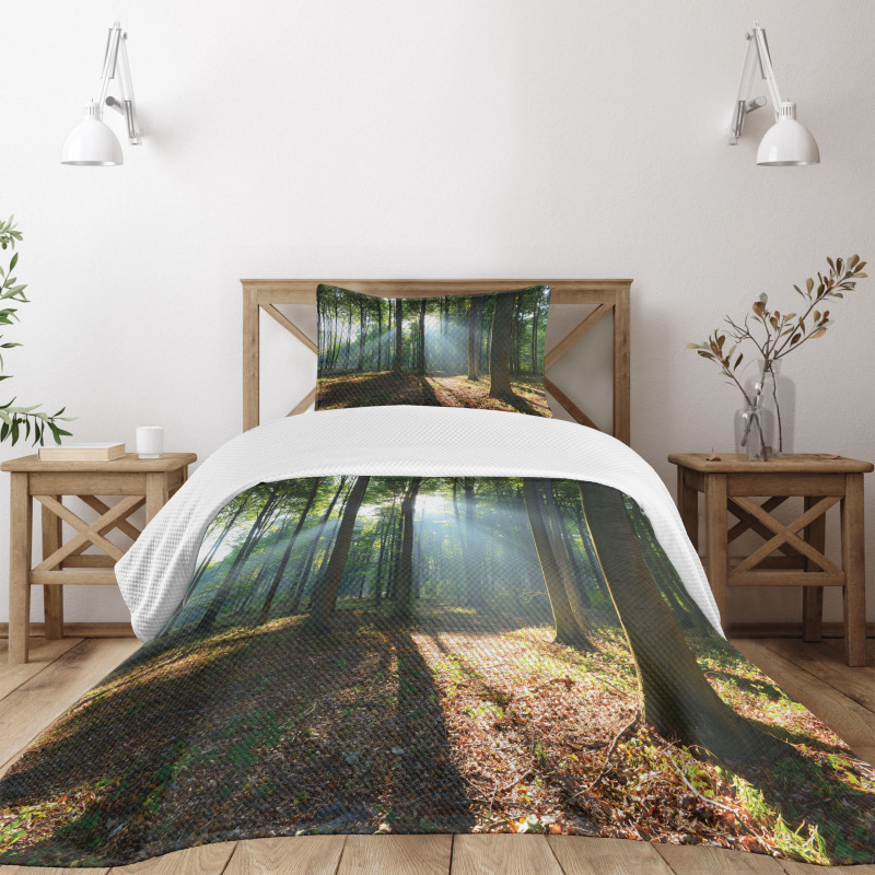 City Park Hazy Morning Bedspread Set