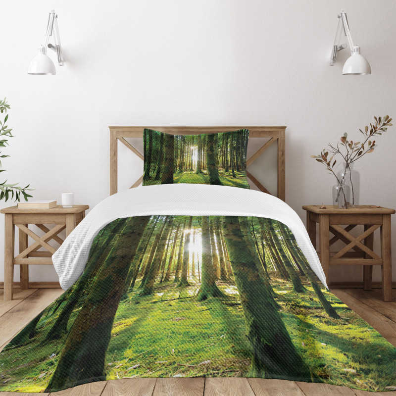 Sunny Day in the Forest Bedspread Set