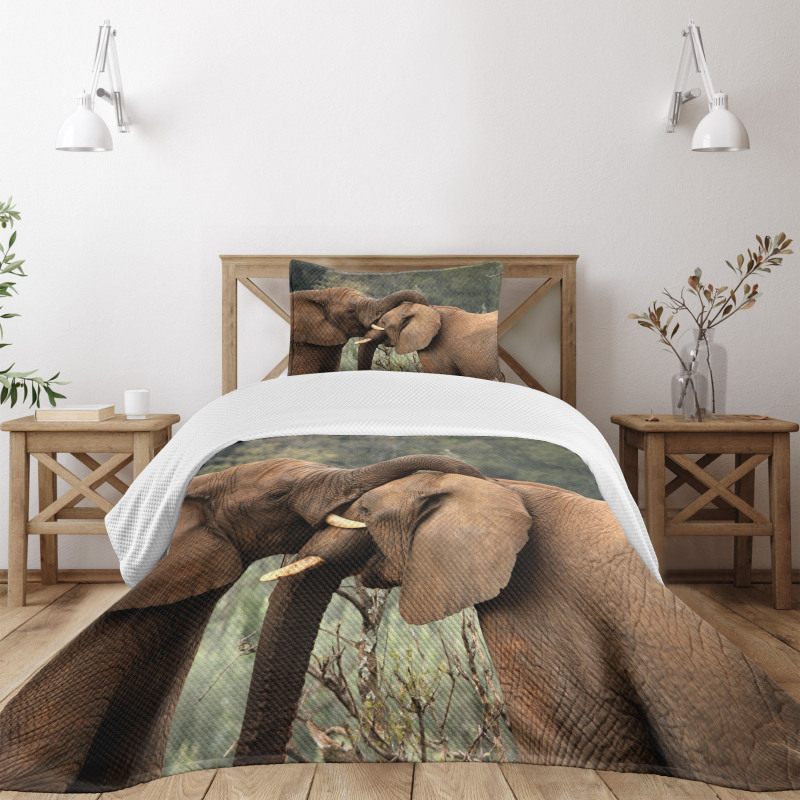 Safari Animals Savanna Bedspread Set