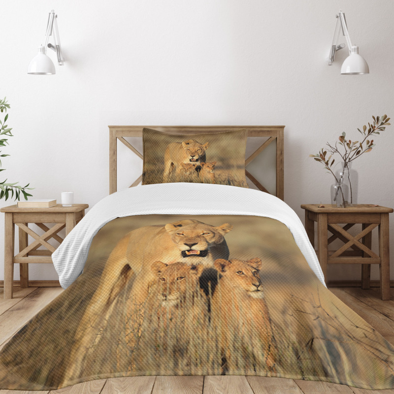 Safari Lions Wilderness Bedspread Set