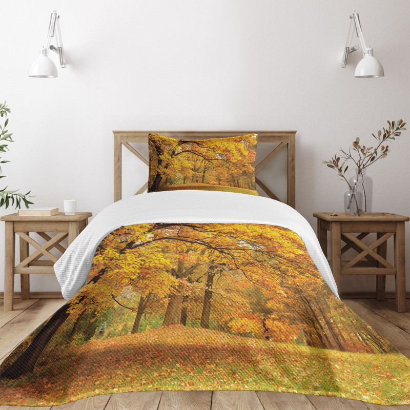 Fall Pale Maple Trees Bedspread Set