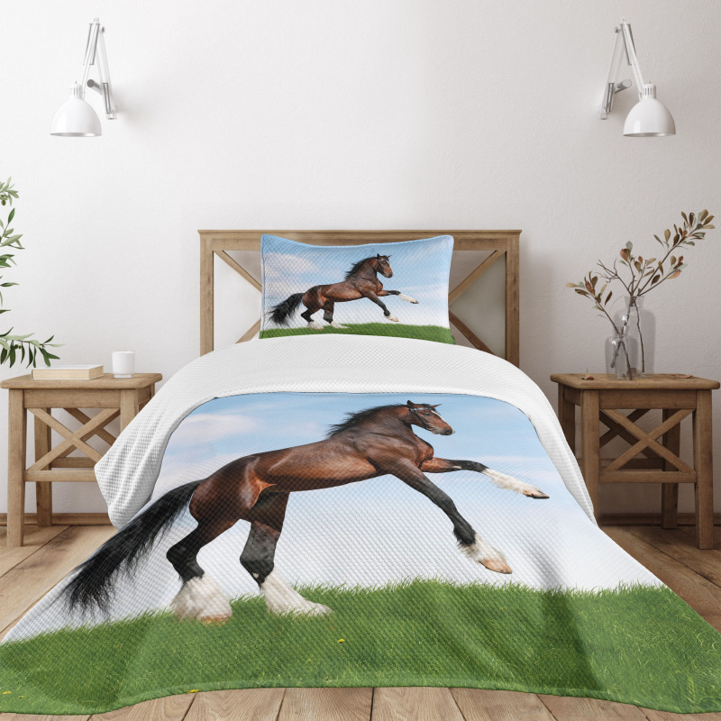 Horse Pacing on Grass Bedspread Set