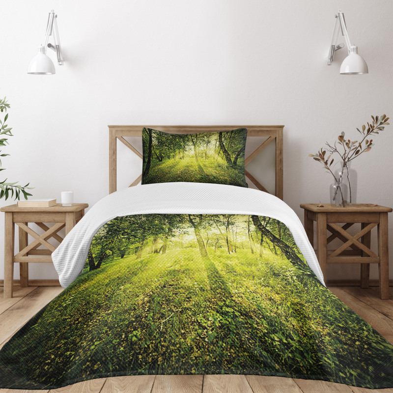 Scenic Morning in Nature Bedspread Set