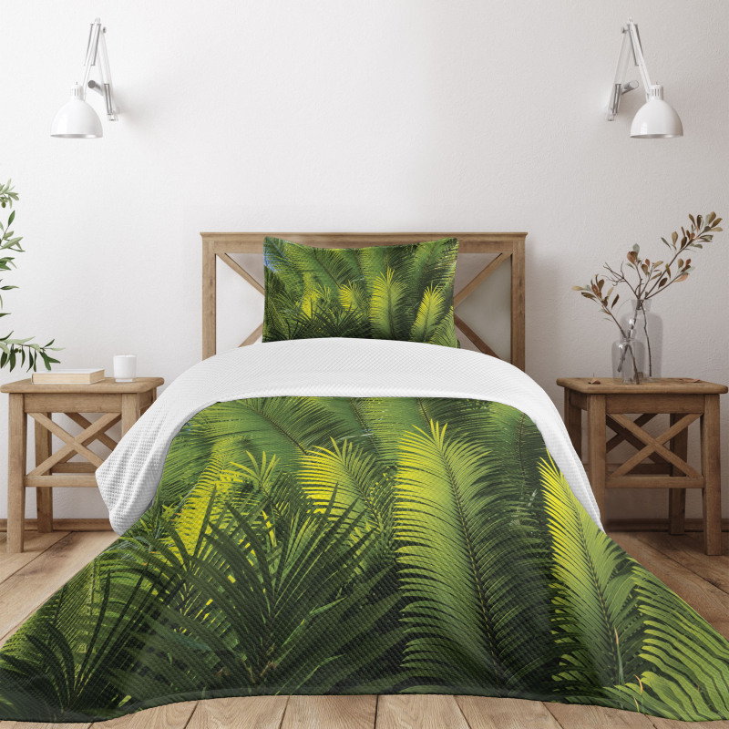 Palm Trees Exotic Bedspread Set