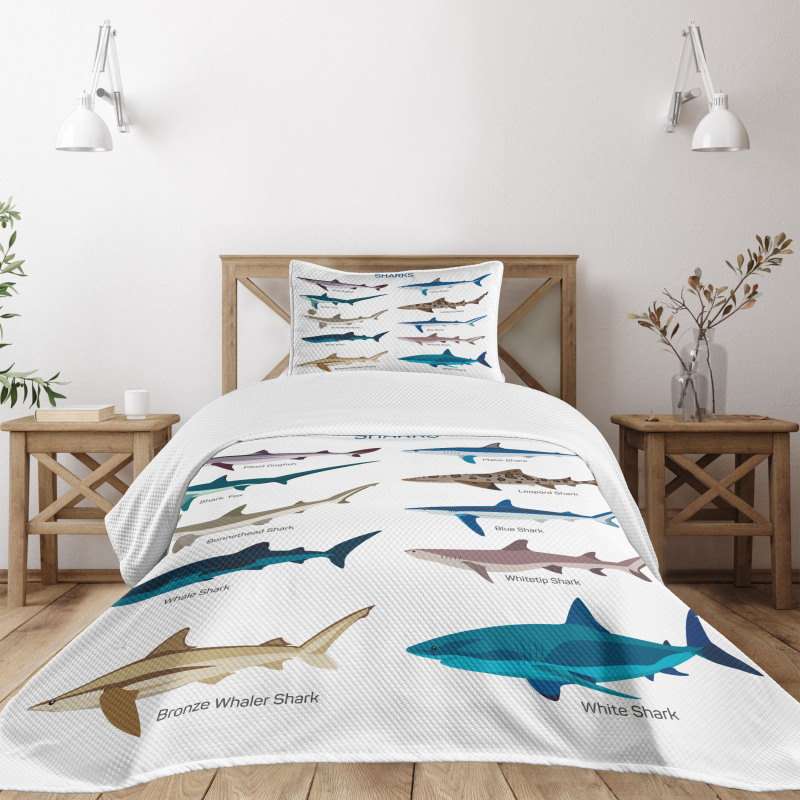 Cartoon Shark Types Wild Bedspread Set