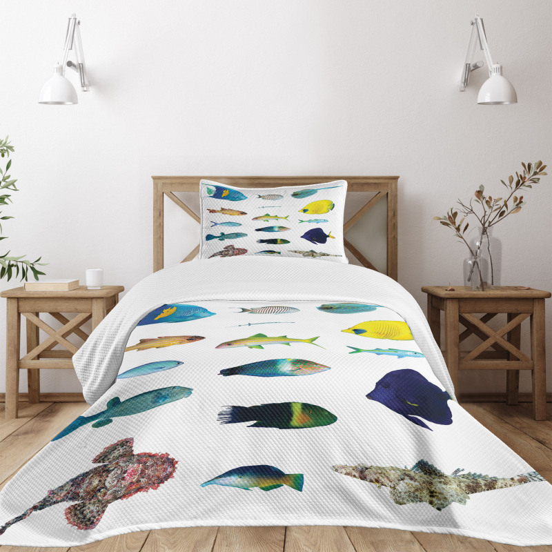 Marine Life Creatures Bedspread Set